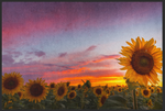 Lade das Bild in den Galerie-Viewer, Fussmatte Sonnenblume 10908
