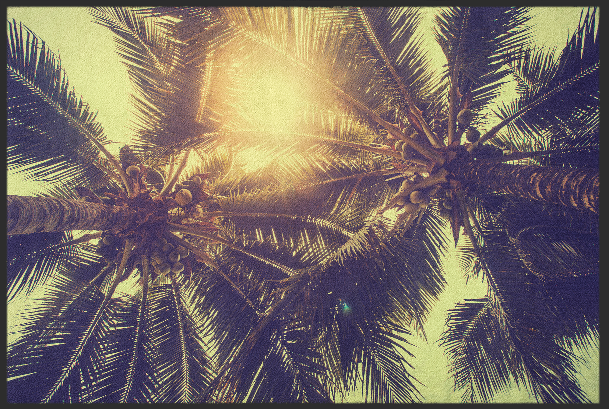 Fussmatte Palmen 10915