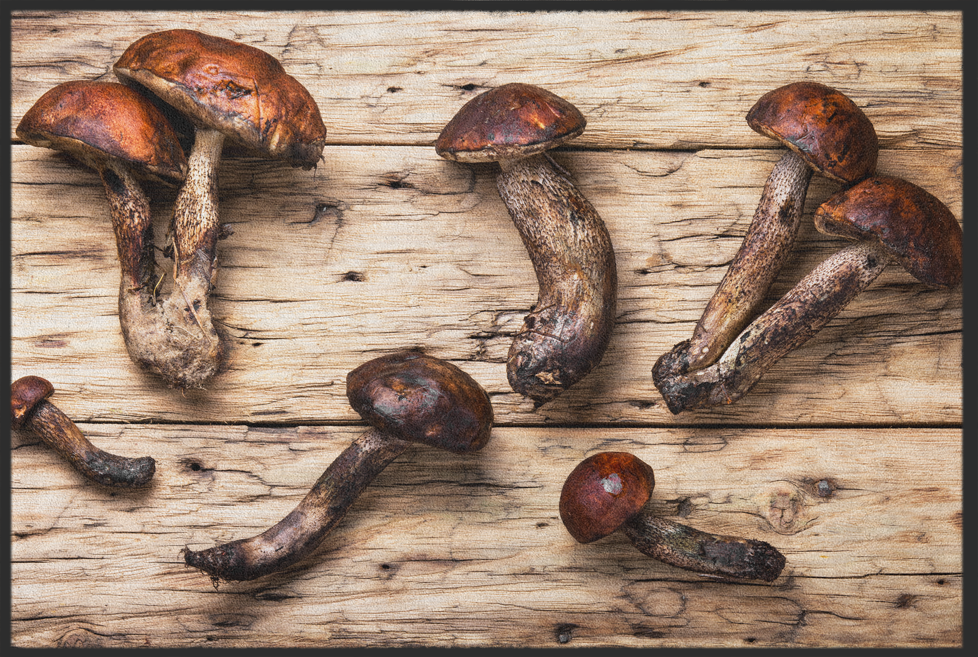 Fussmatte Pilze 10918