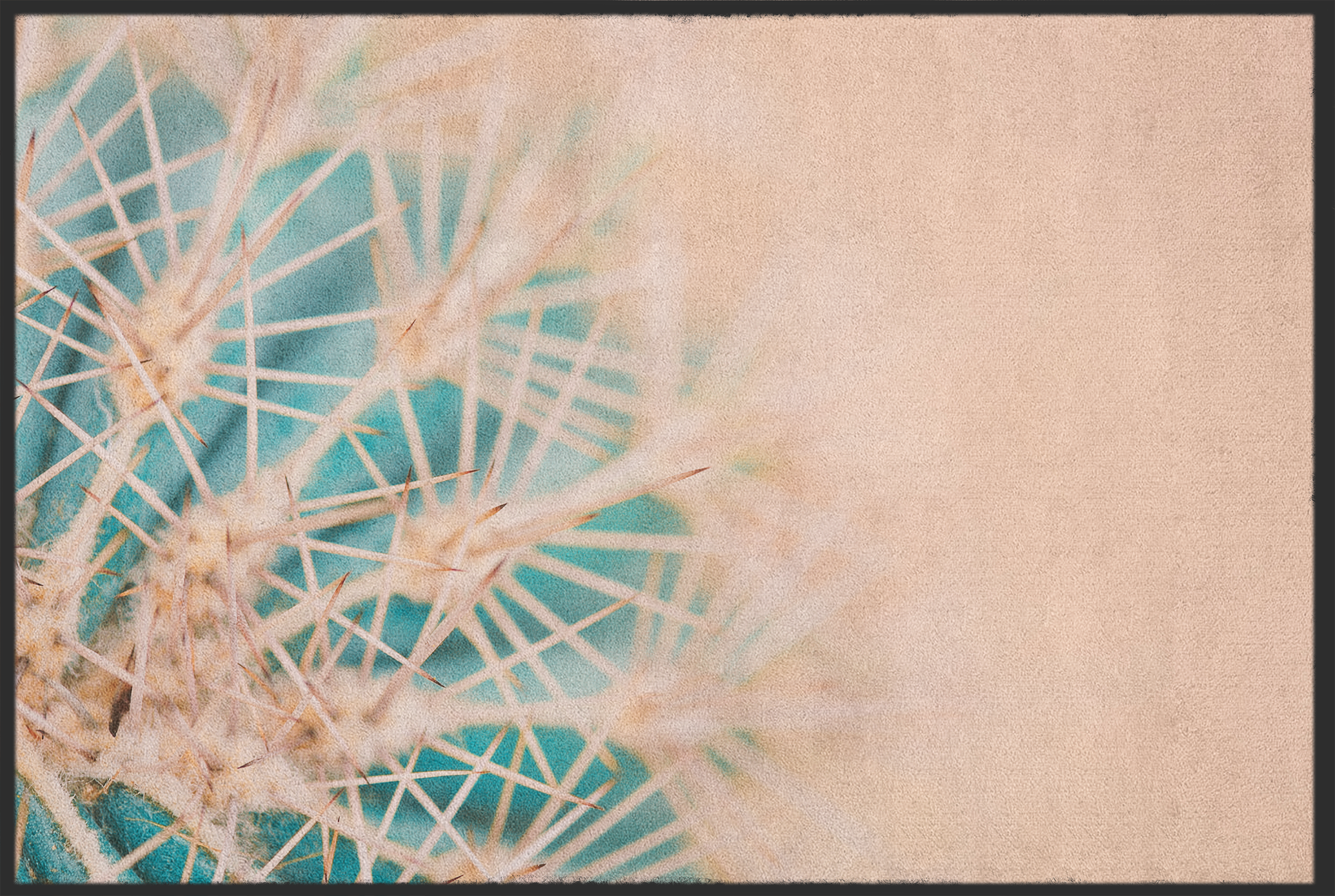 Fussmatte Kaktus 10930