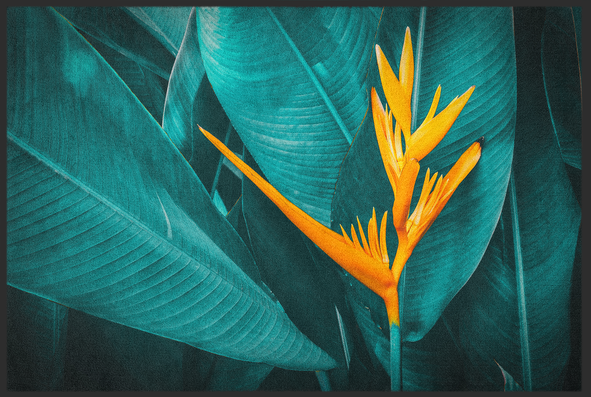 Fussmatte Blüte 10947