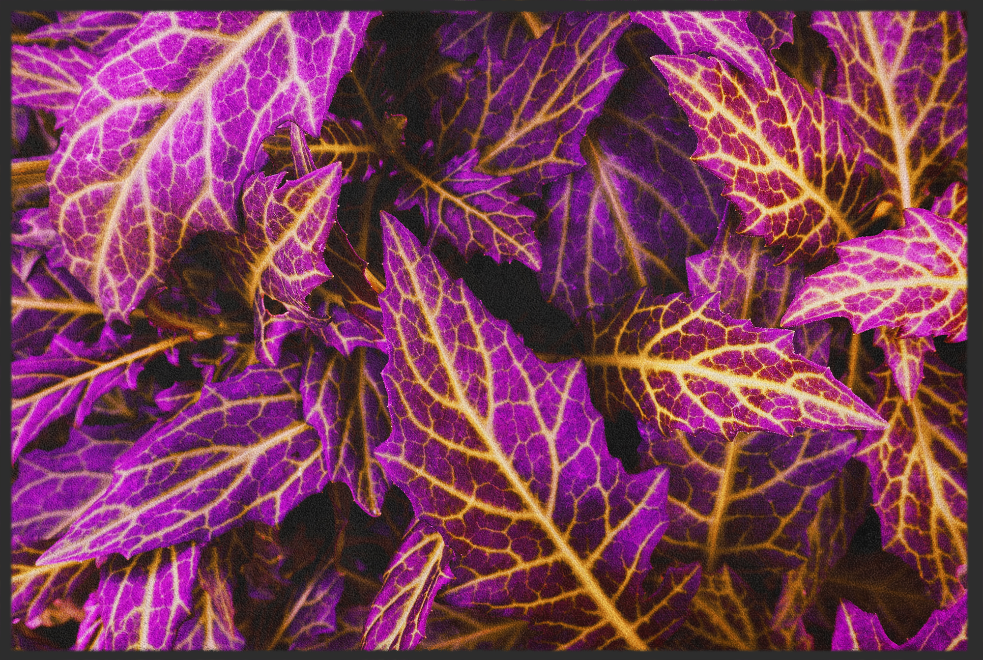 Fussmatte Blätter 10971