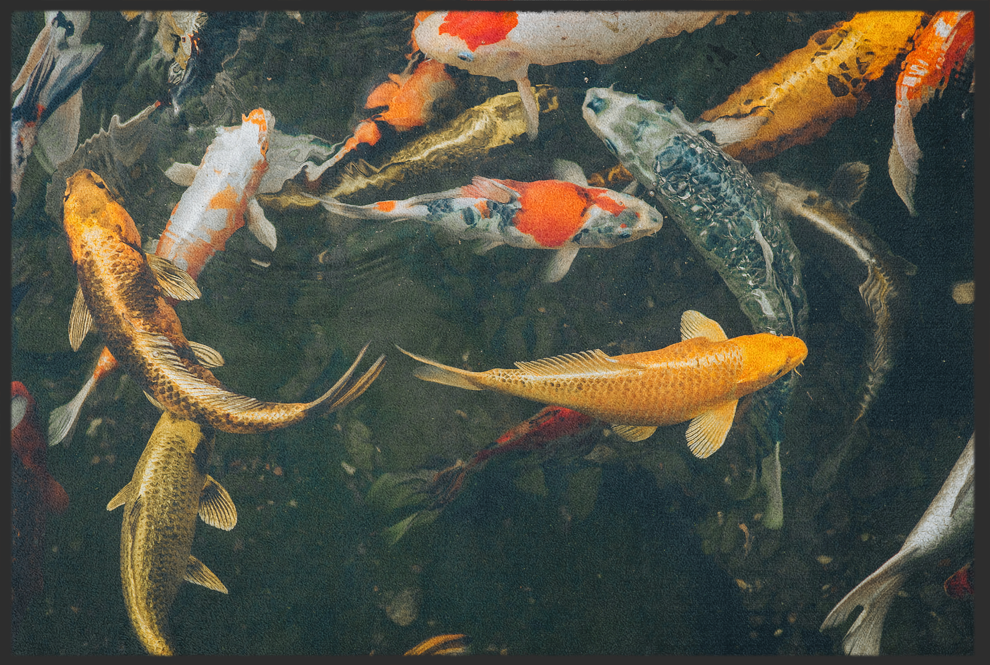 Fussmatte Fischteich 10977