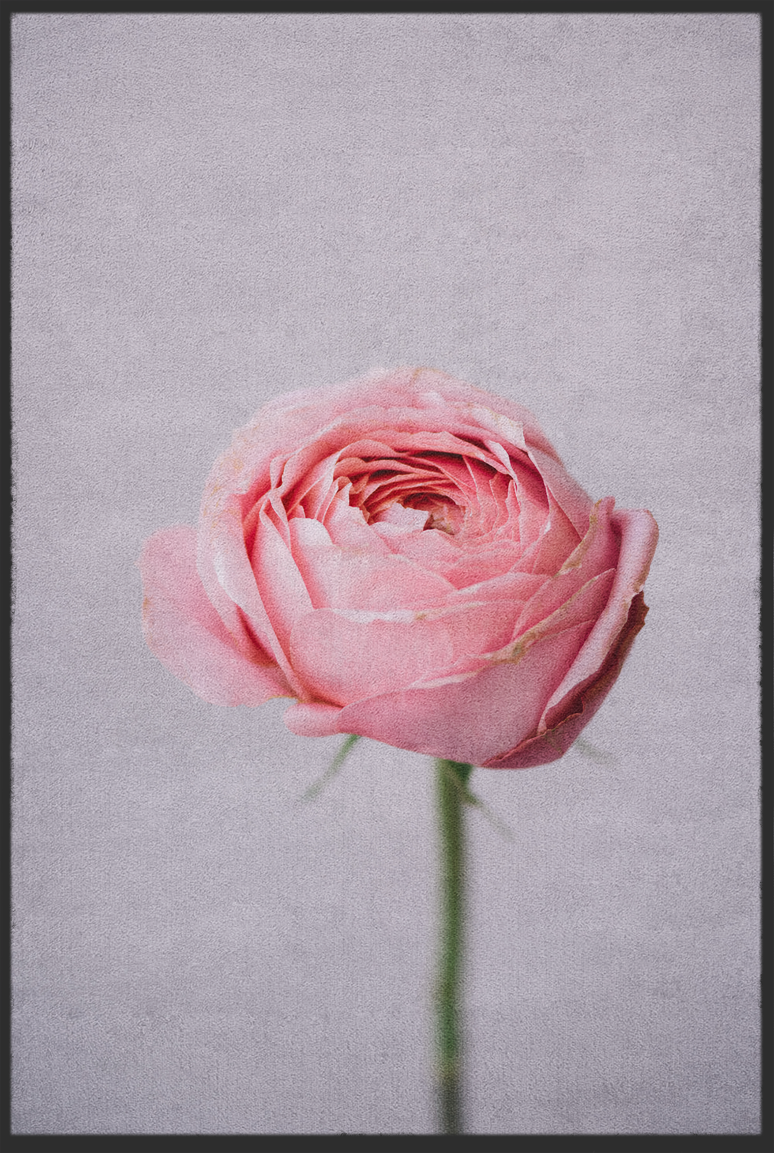 Fussmatte Blume 10987