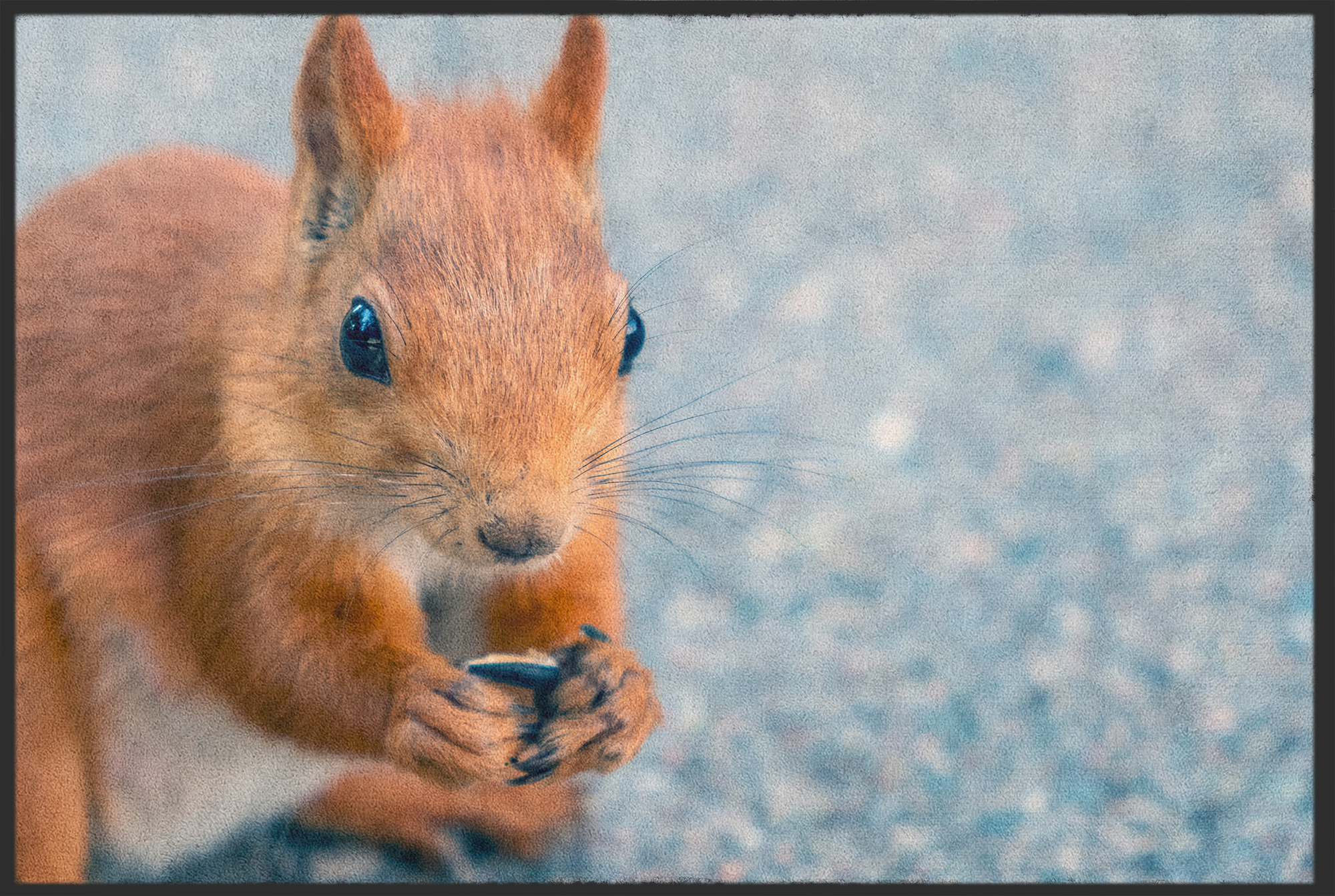 Fussmatte Eichhörnchen 10994