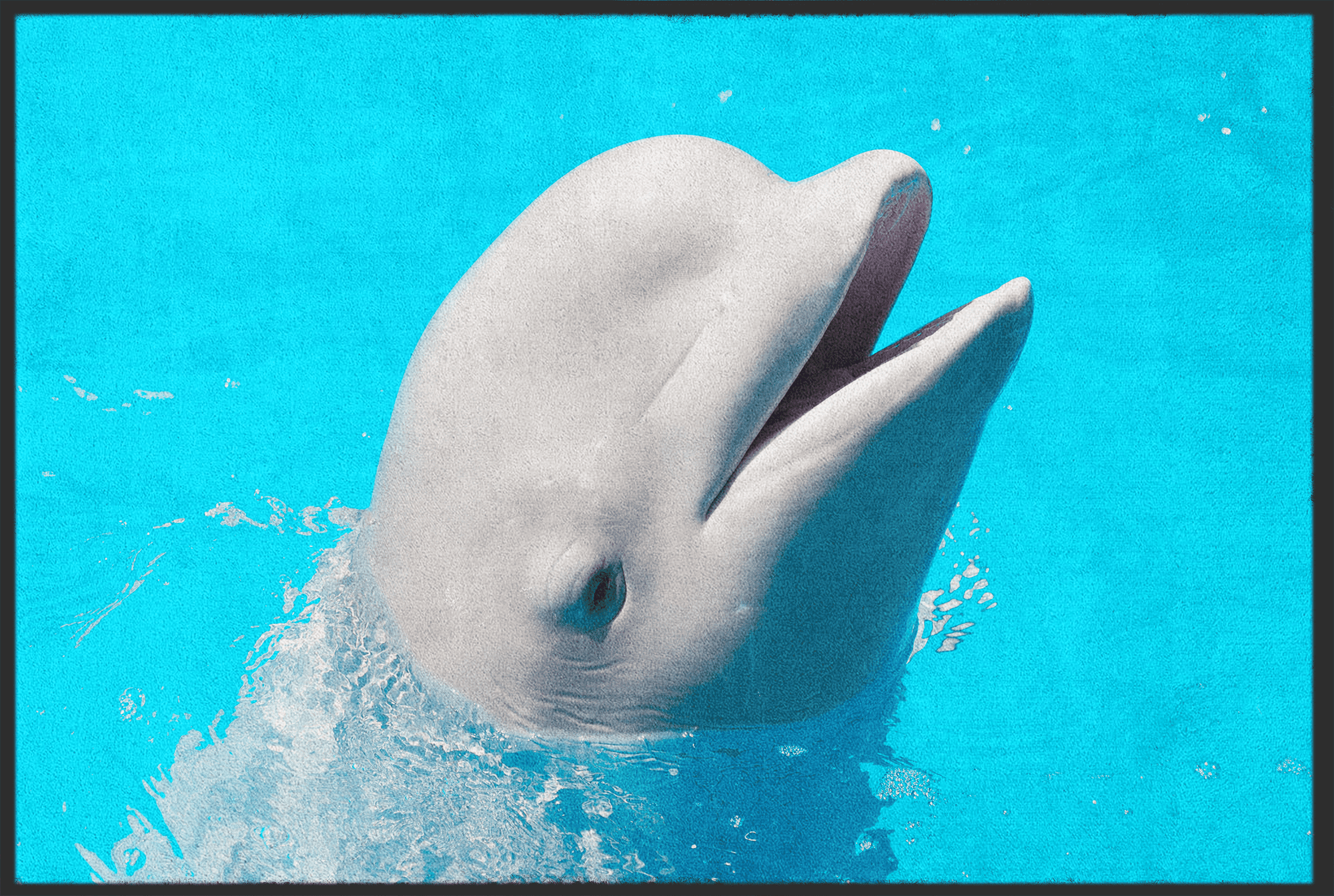 Fussmatte Delfin 10996