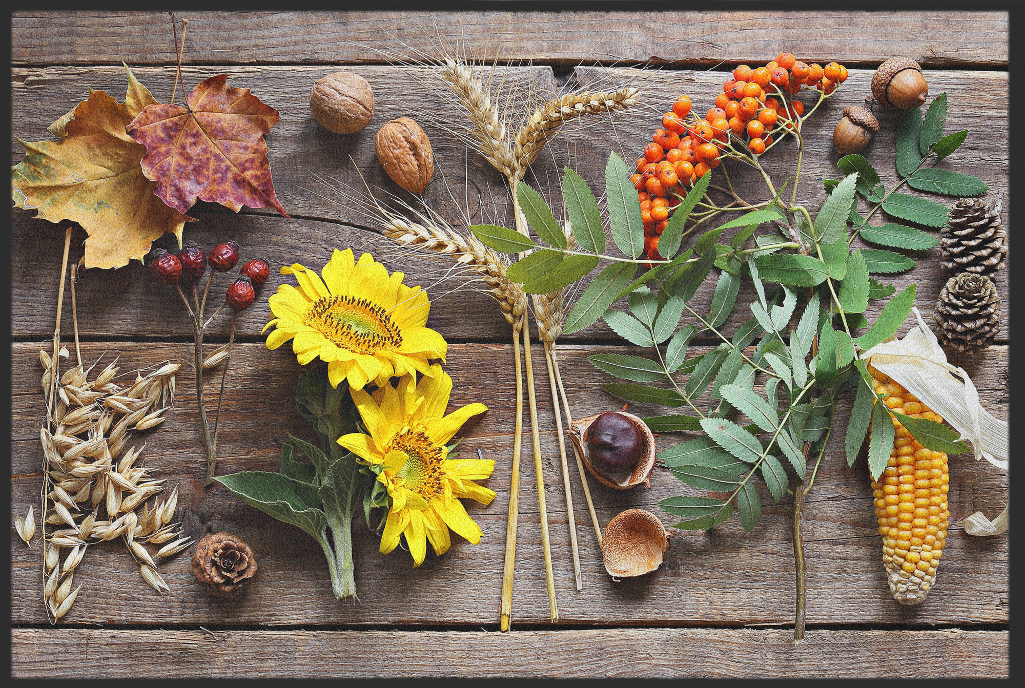 Fussmatte Garten 10997