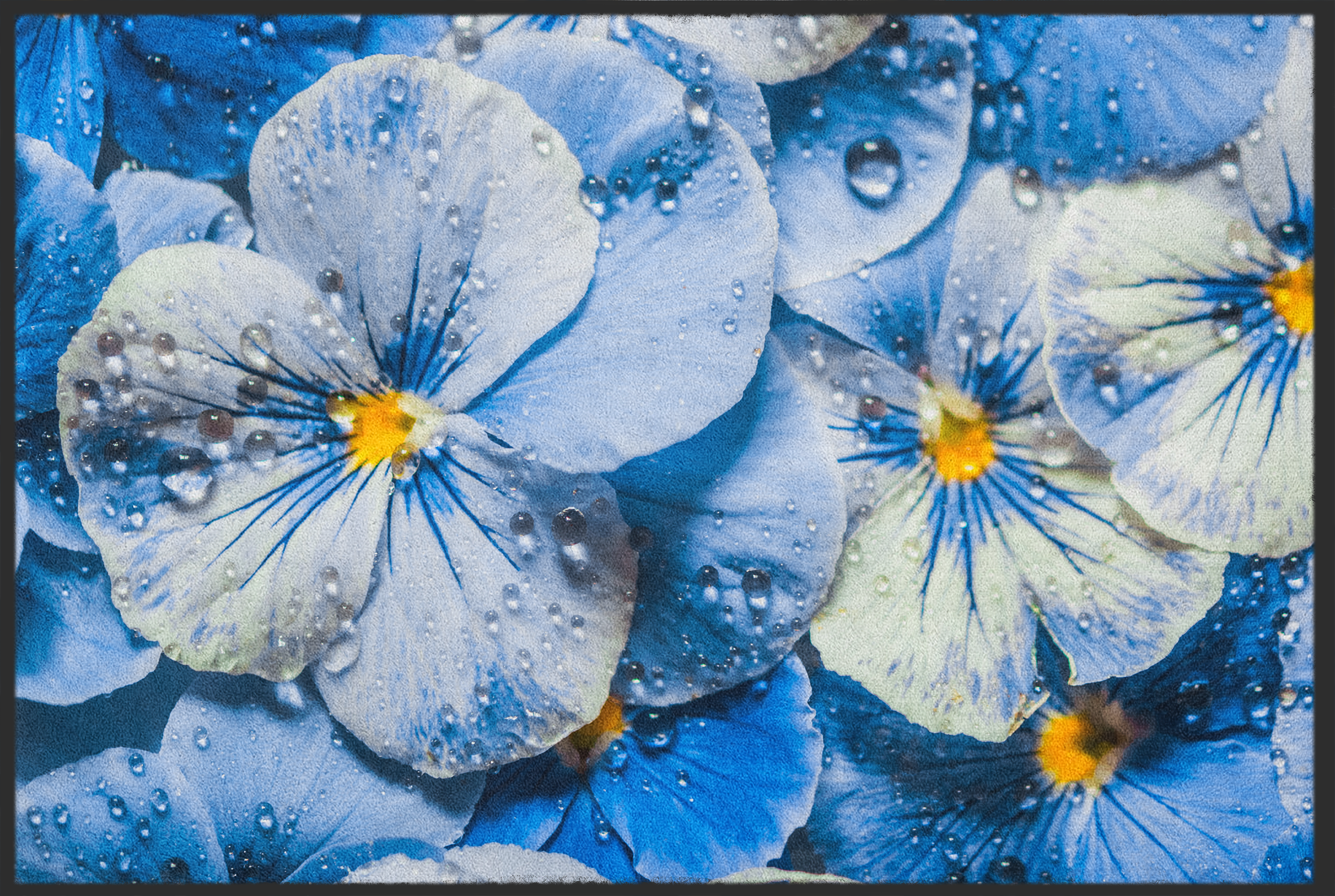 Fussmatte blaue Blume 10998