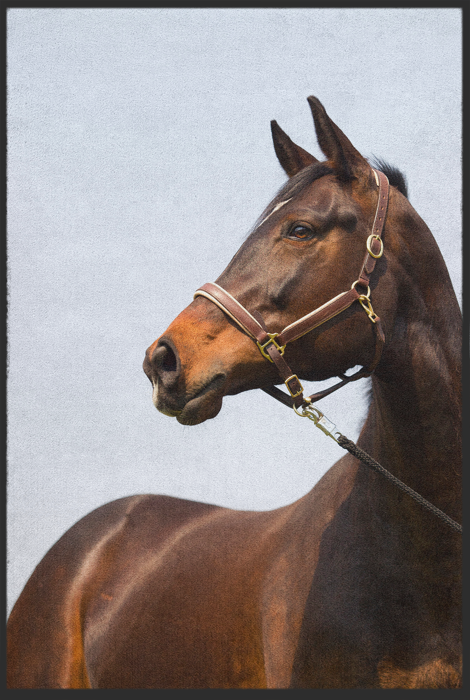 Fussmatte Pferd 10999