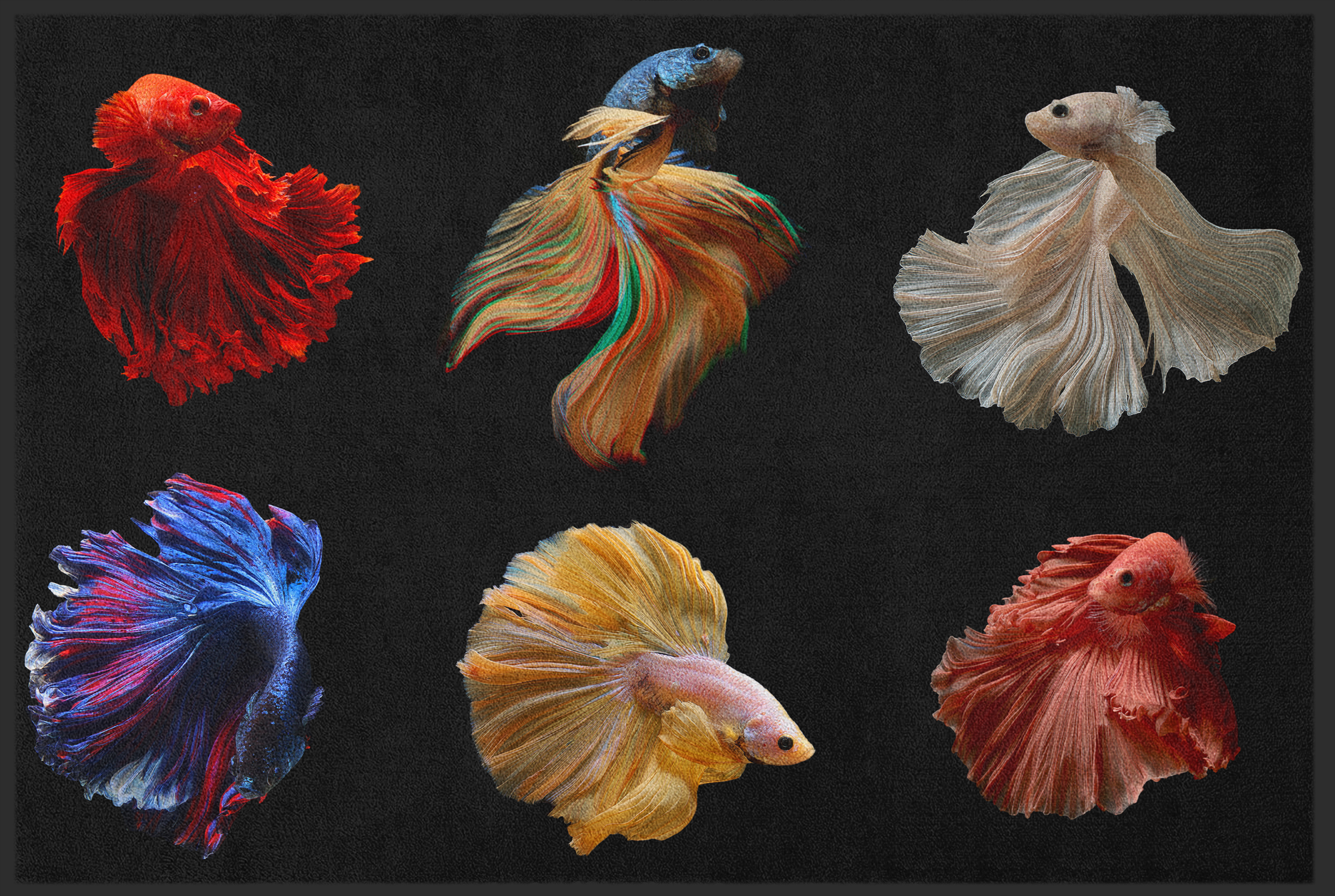 Fussmatte Wassertiere 11000