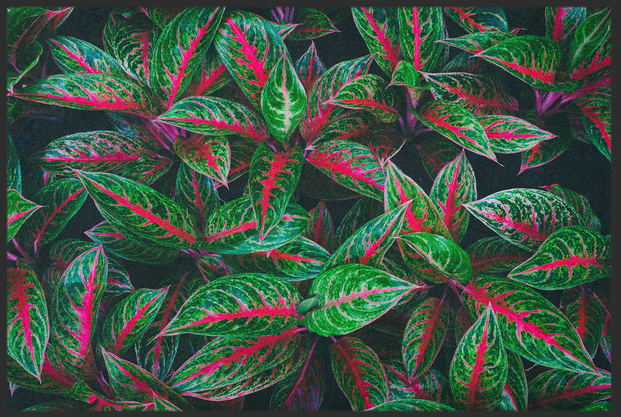 Fussmatte Blätter 11001