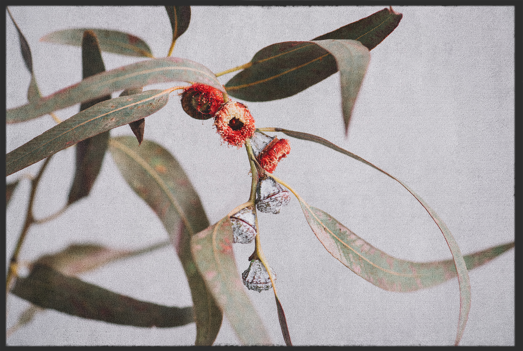 Fussmatte Blumen 11007