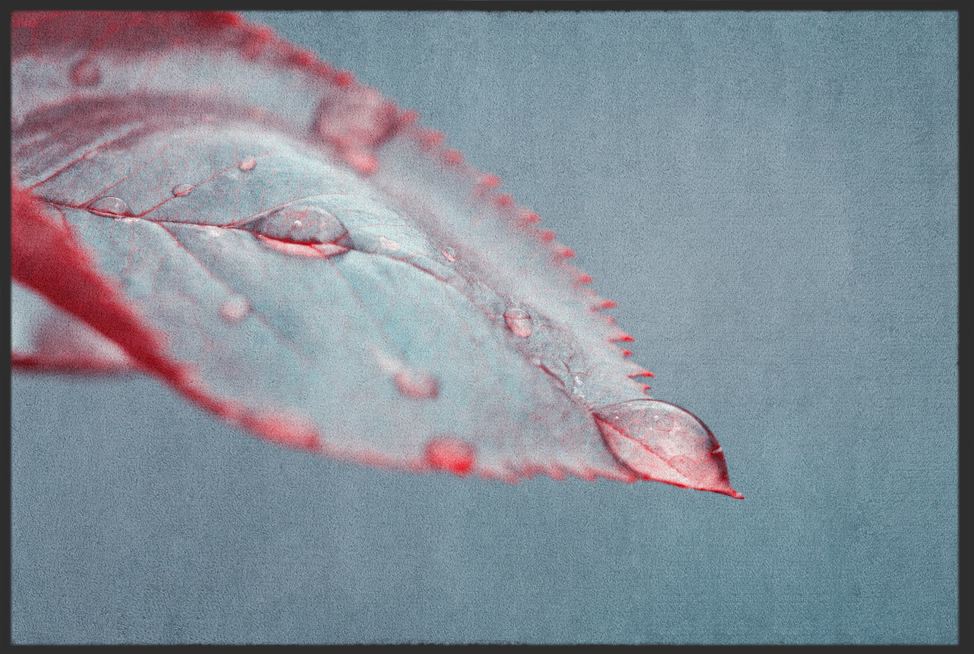 Fussmatte Blatt 11104