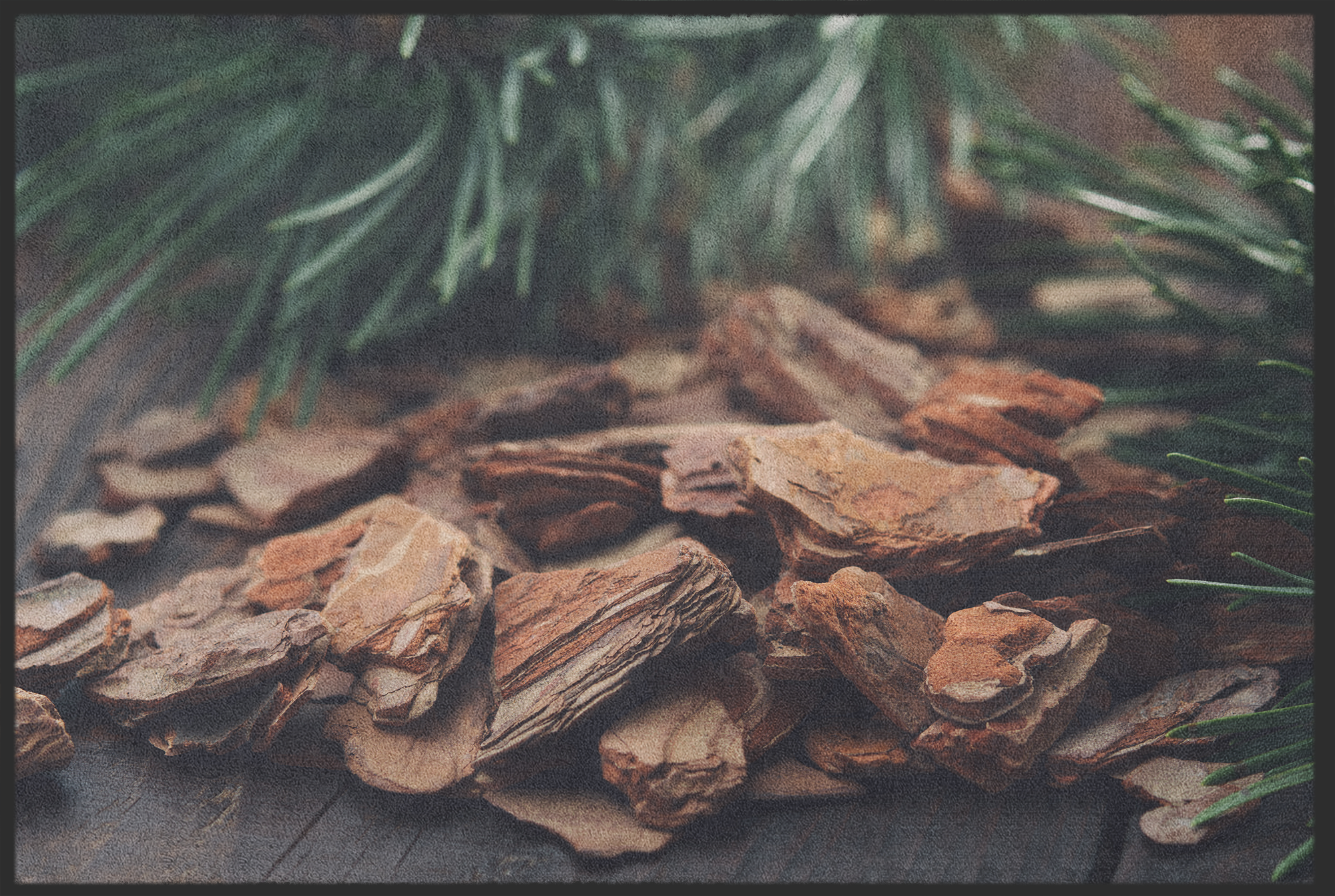 Fussmatte Tanne 11109