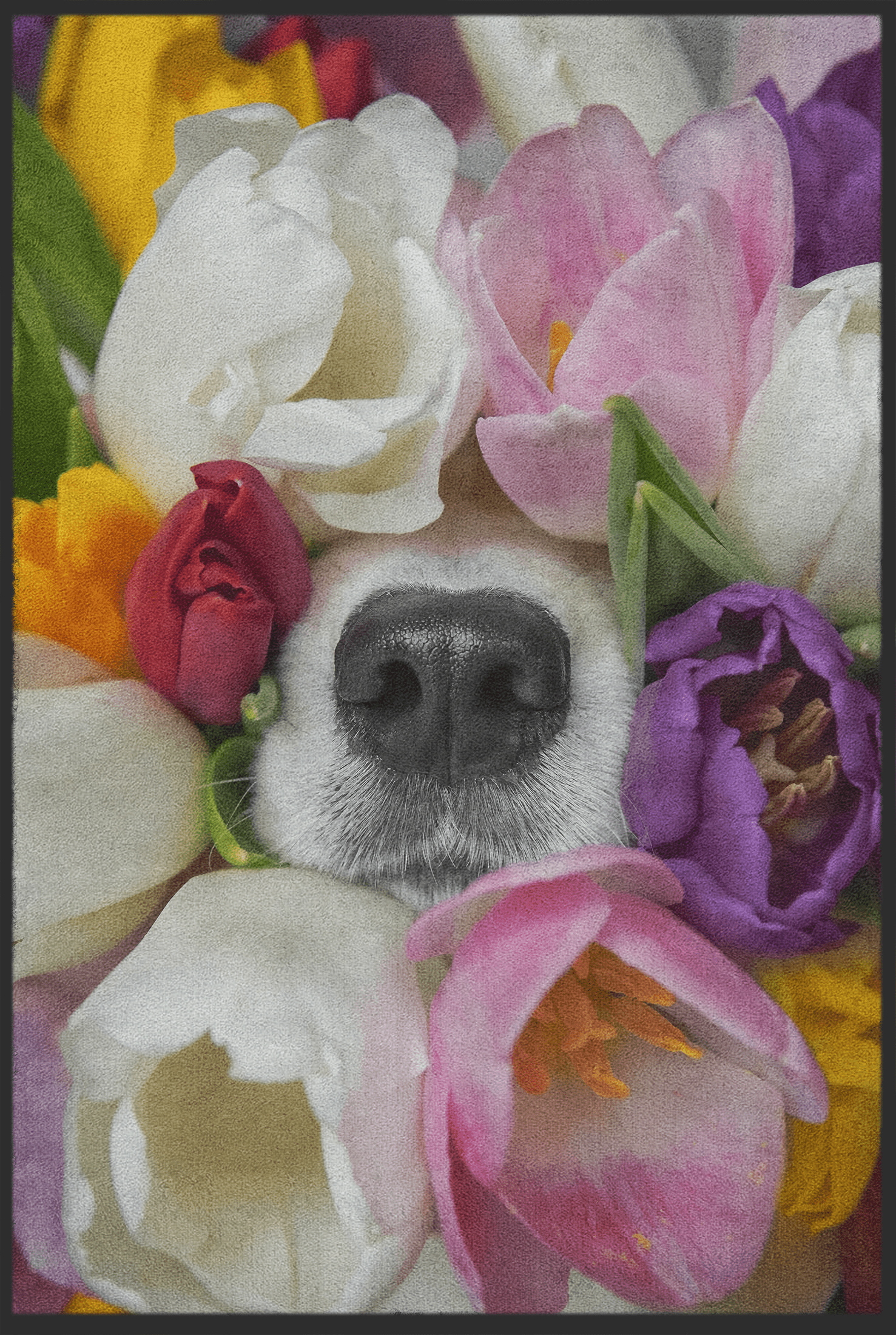 Fussmatte Fellnase 11117