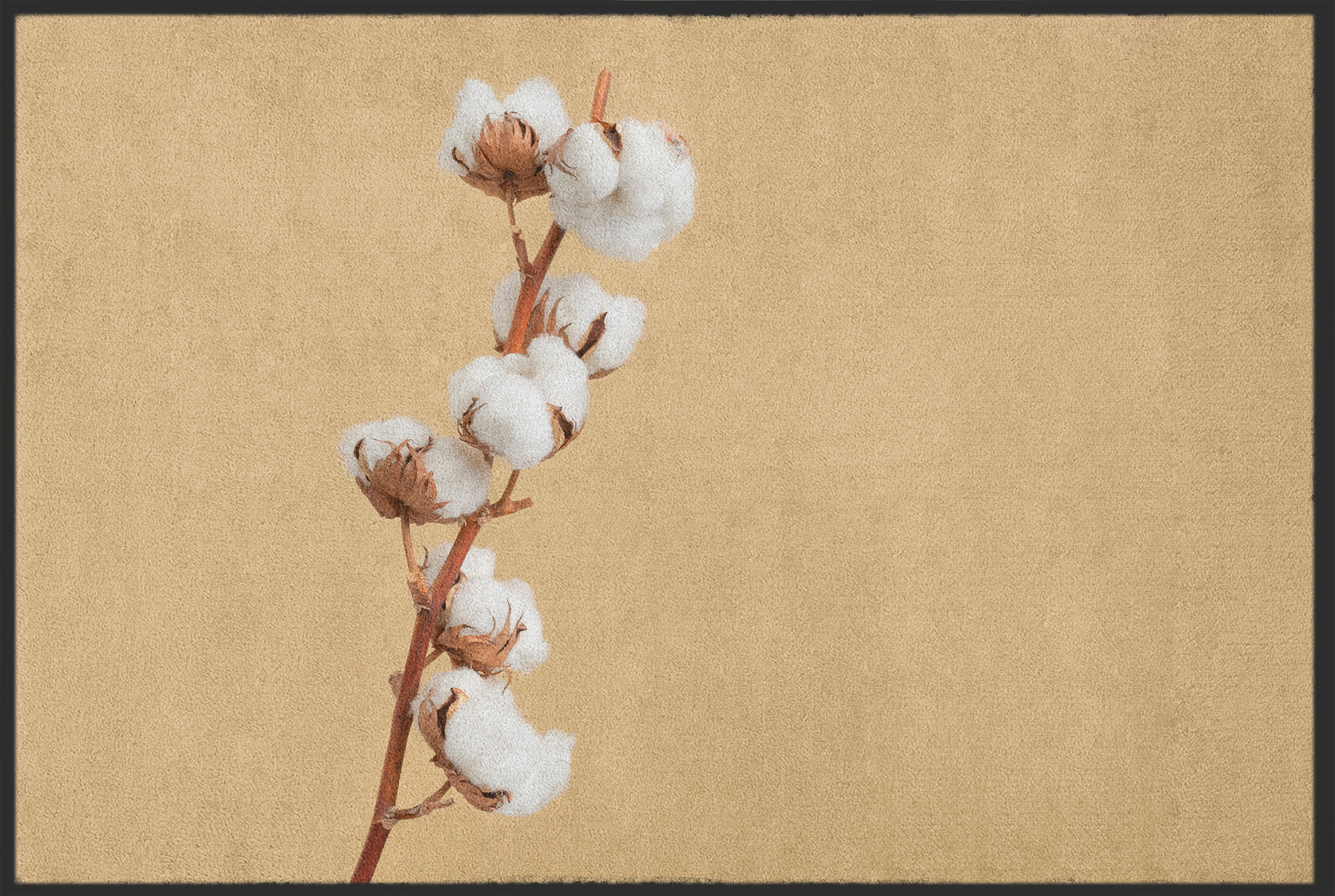 Fussmatte Baumwolle 11121