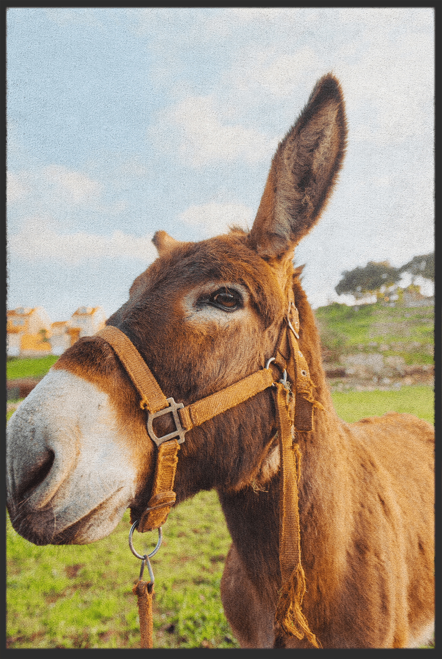 Fussmatte Esel 11124