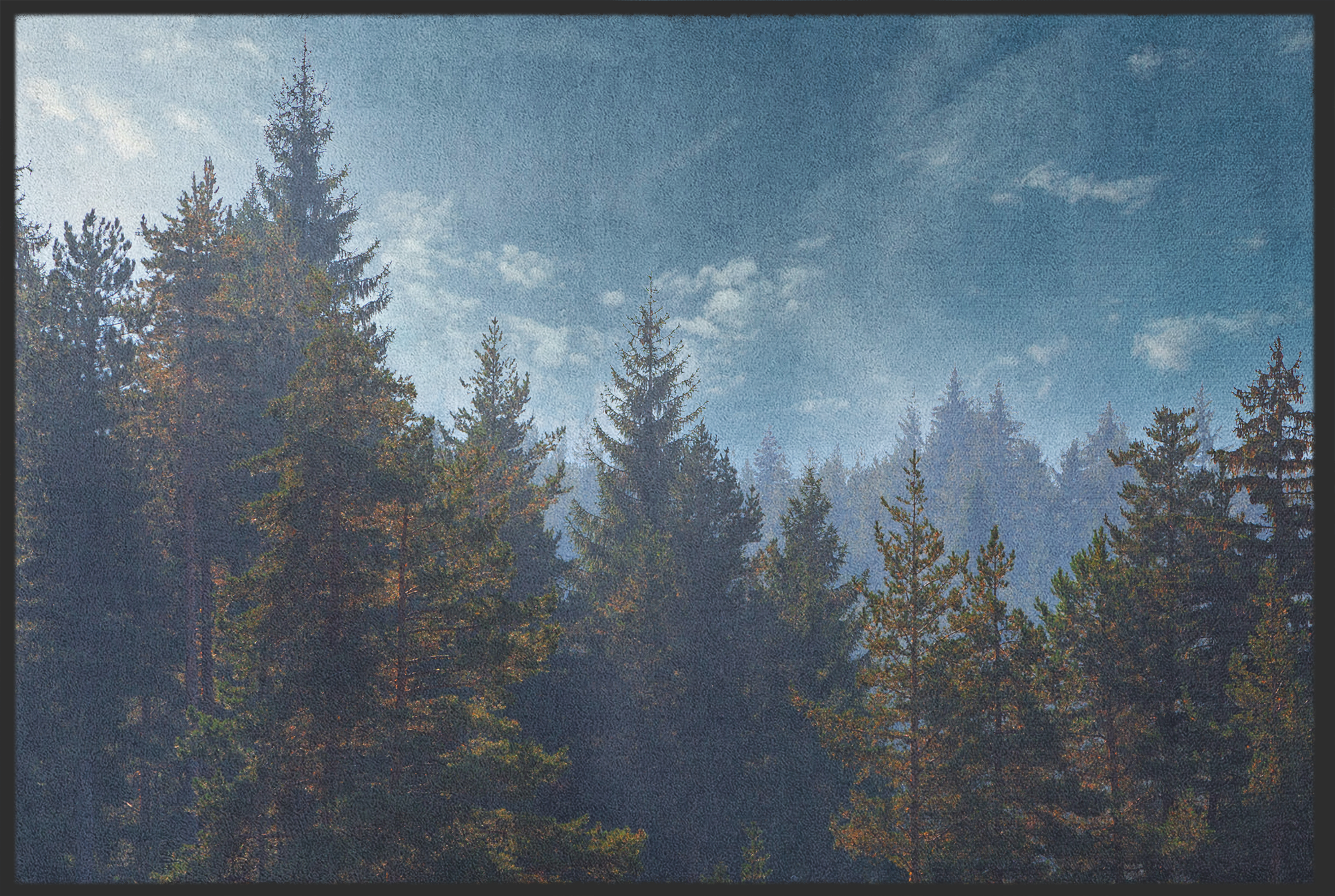 Fussmatte Wald 11125