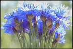 Lade das Bild in den Galerie-Viewer, Fussmatte Blüten 11136
