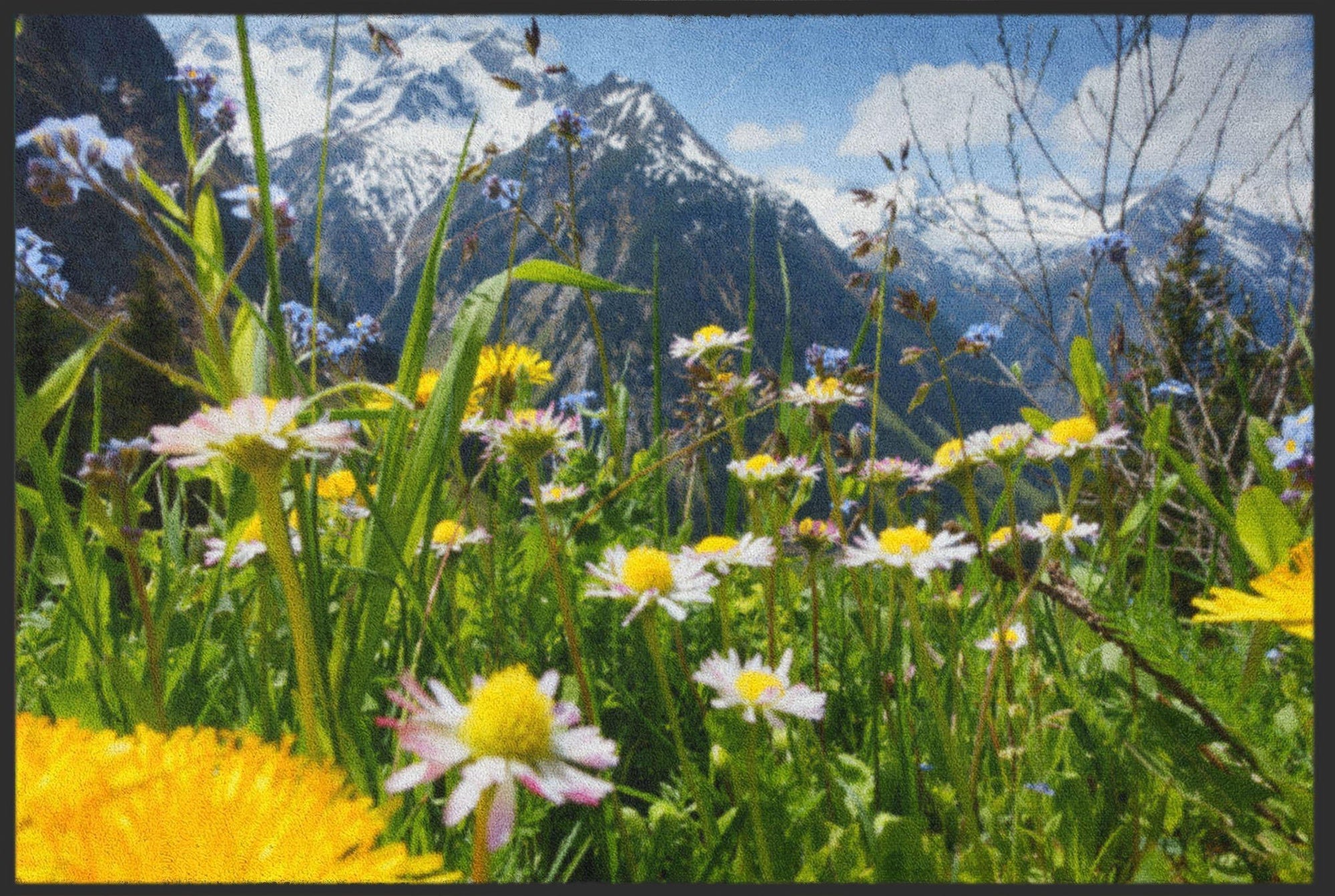 Fussmatte Almwiese 4569