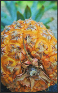 Fussmatte Ananas 7591-Matten-Welt