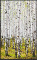 Lade das Bild in den Galerie-Viewer, Fussmatte Birken Wald 7123-Matten-Welt
