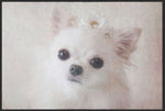 Lade das Bild in den Galerie-Viewer, Fussmatte Chihuahua 4628-Matten-Welt
