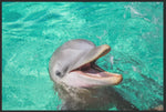 Lade das Bild in den Galerie-Viewer, Fussmatte Delfin 6297-Matten-Welt
