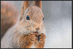 Lade das Bild in den Galerie-Viewer, Fussmatte Eichhörnchen 4529-Matten-Welt
