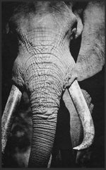 Lade das Bild in den Galerie-Viewer, Fussmatte Elefant 7786-Matten-Welt
