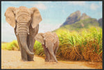 Lade das Bild in den Galerie-Viewer, Fussmatte Elefanten 6107-Matten-Welt
