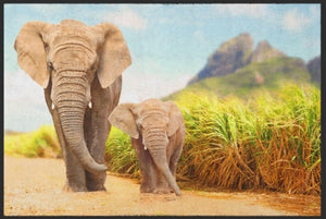 Fussmatte Elefanten 6107-Matten-Welt