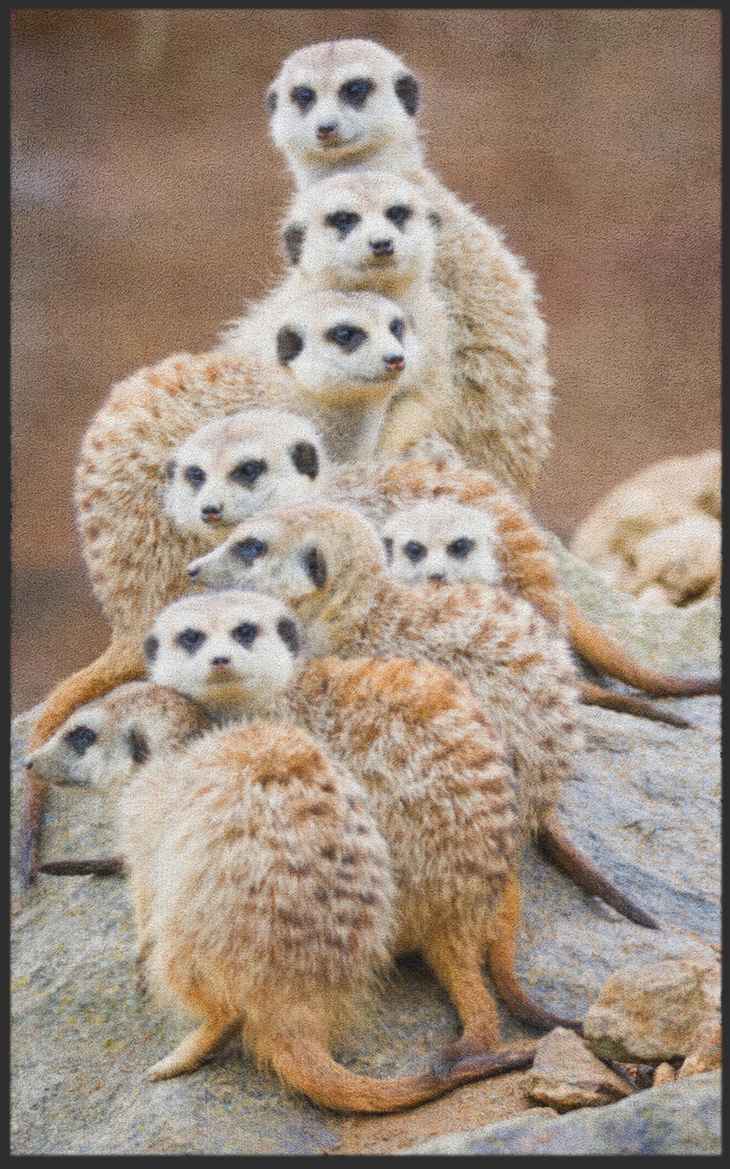 Fussmatte Erdmännchen 7678
