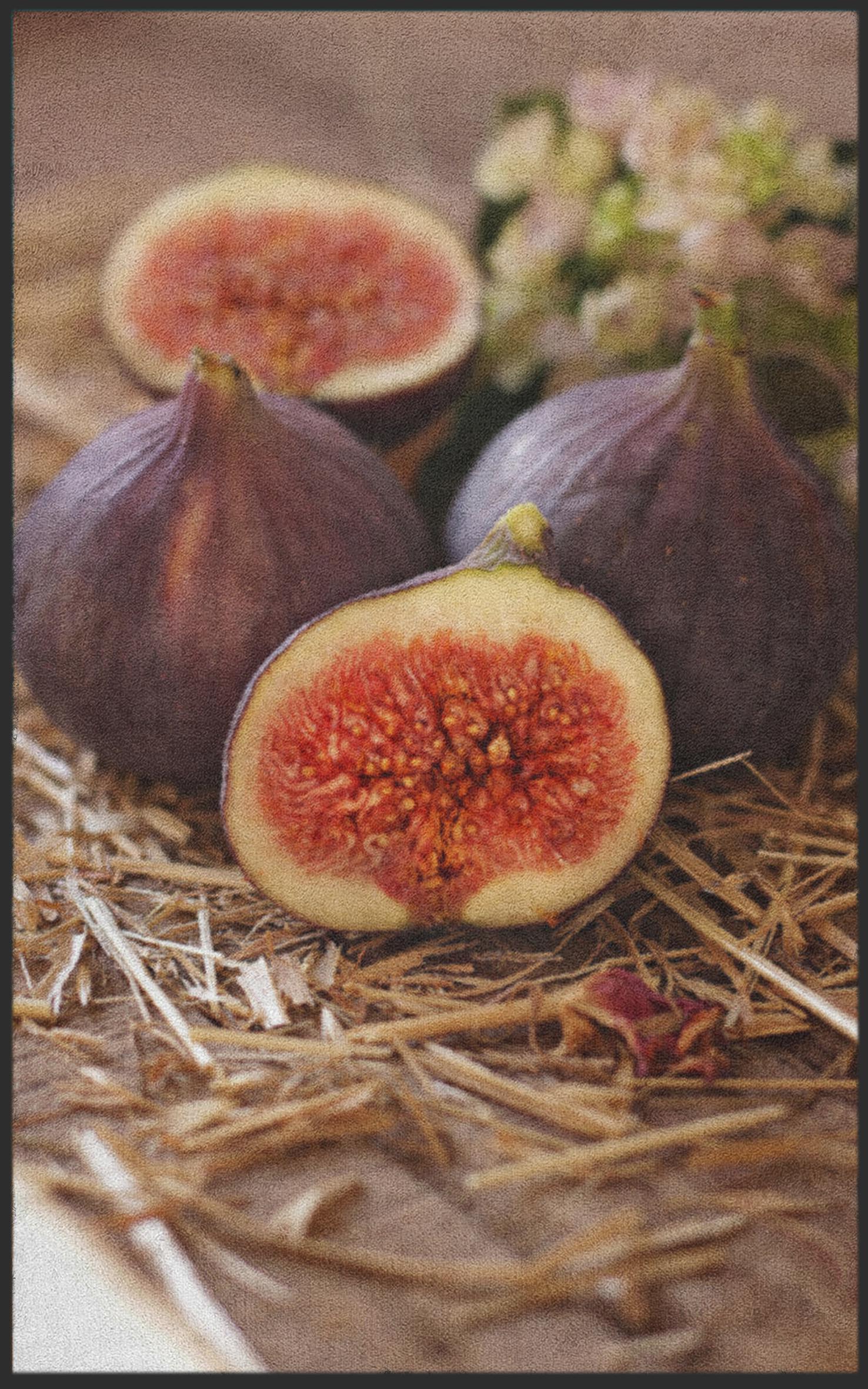 Fussmatte Feige 7590