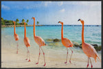Lade das Bild in den Galerie-Viewer, Fussmatte Flamingo 4528-Matten-Welt
