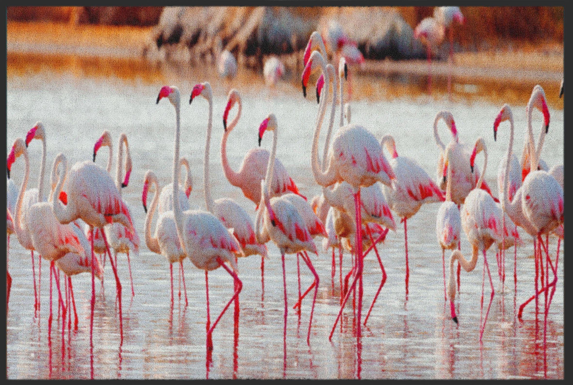 Fussmatte Flamingo 4821-Matten-Welt