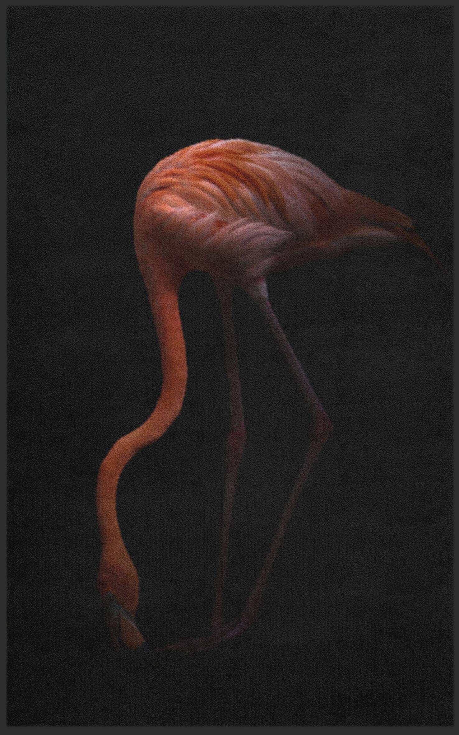 Fussmatte Flamingo 7260-Matten-Welt