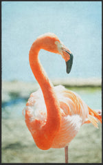 Lade das Bild in den Galerie-Viewer, Fussmatte Flamingo 7780-Matten-Welt
