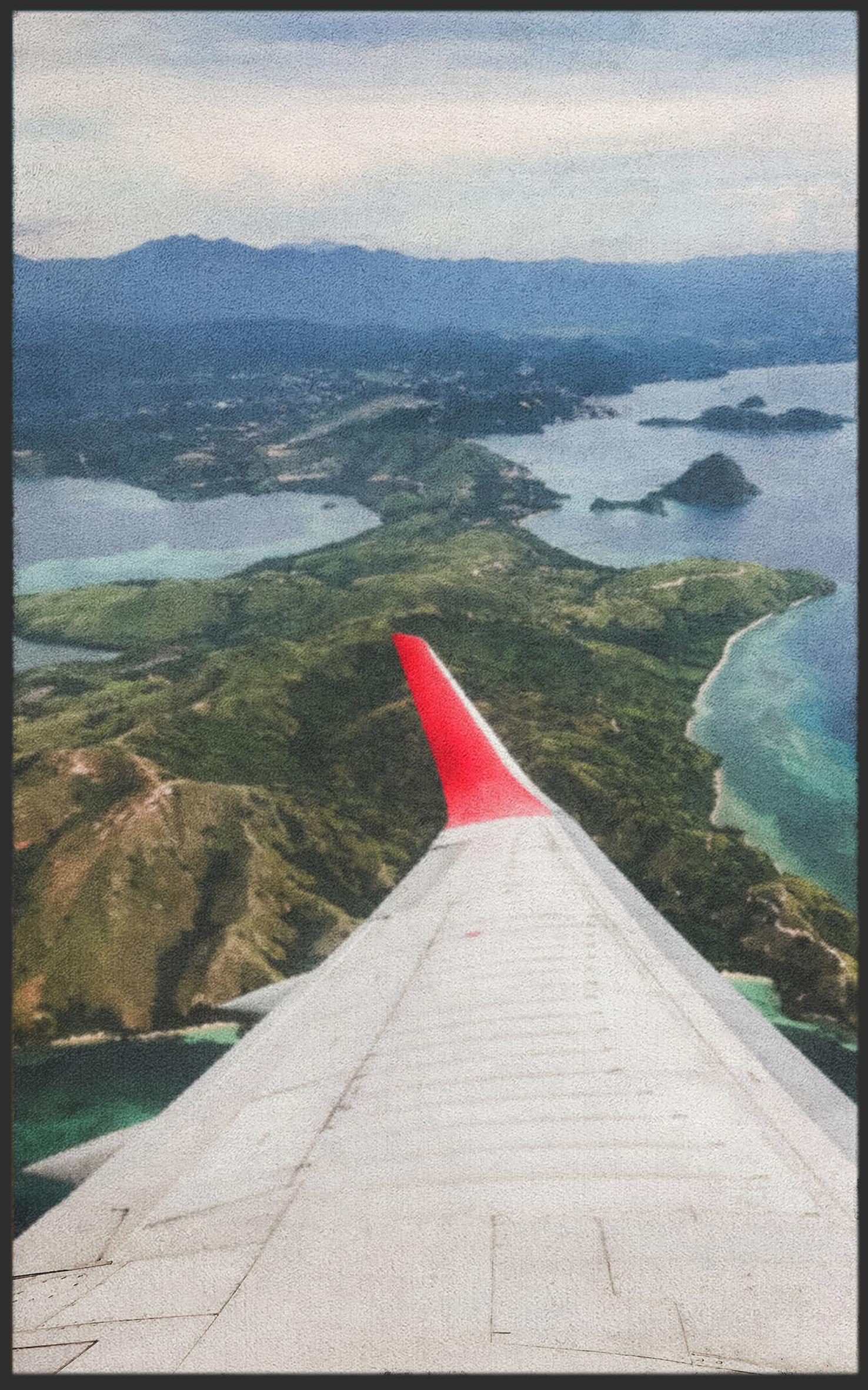 Fussmatte Fliegen 7093