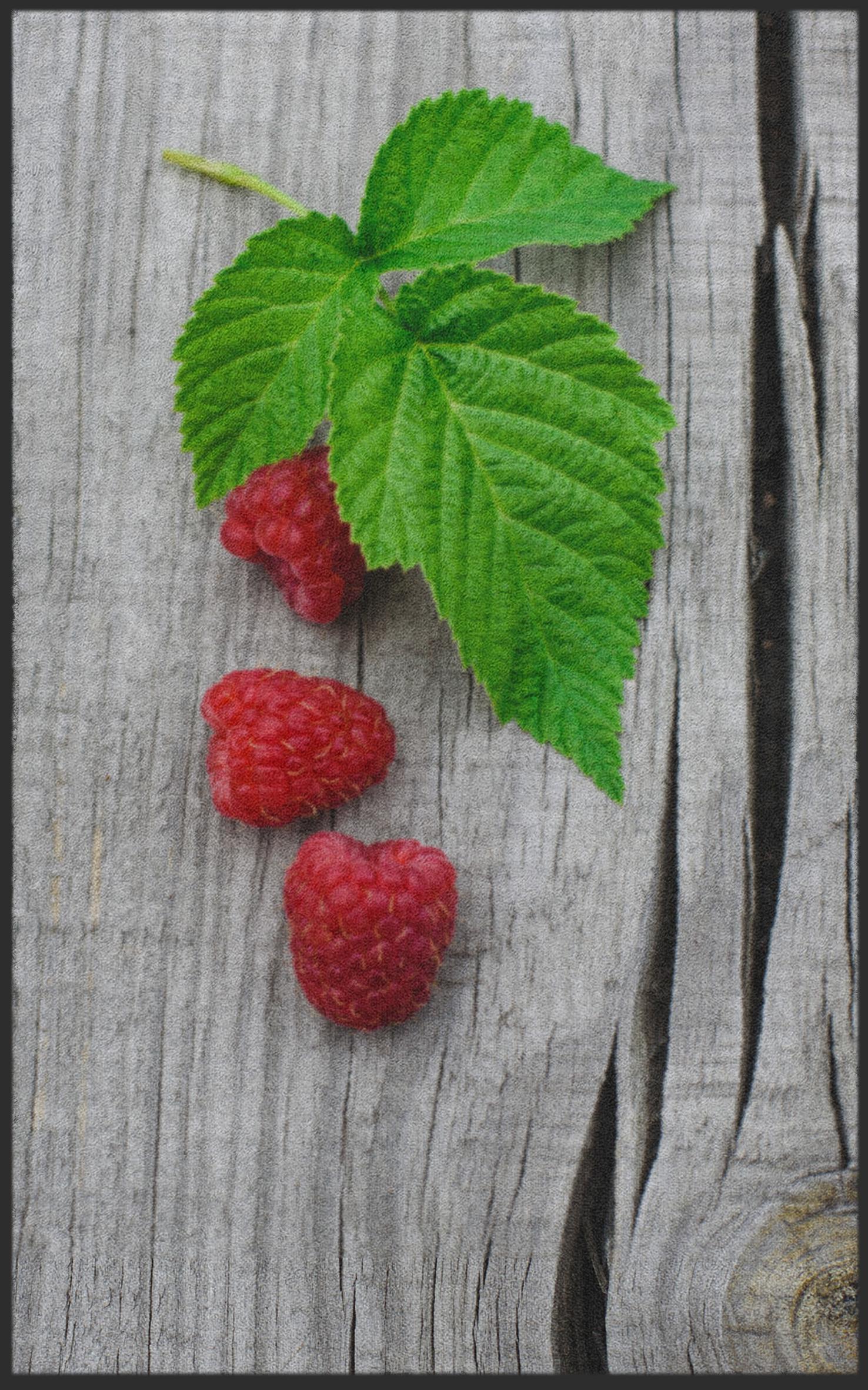 Fussmatte Himbeere 7222