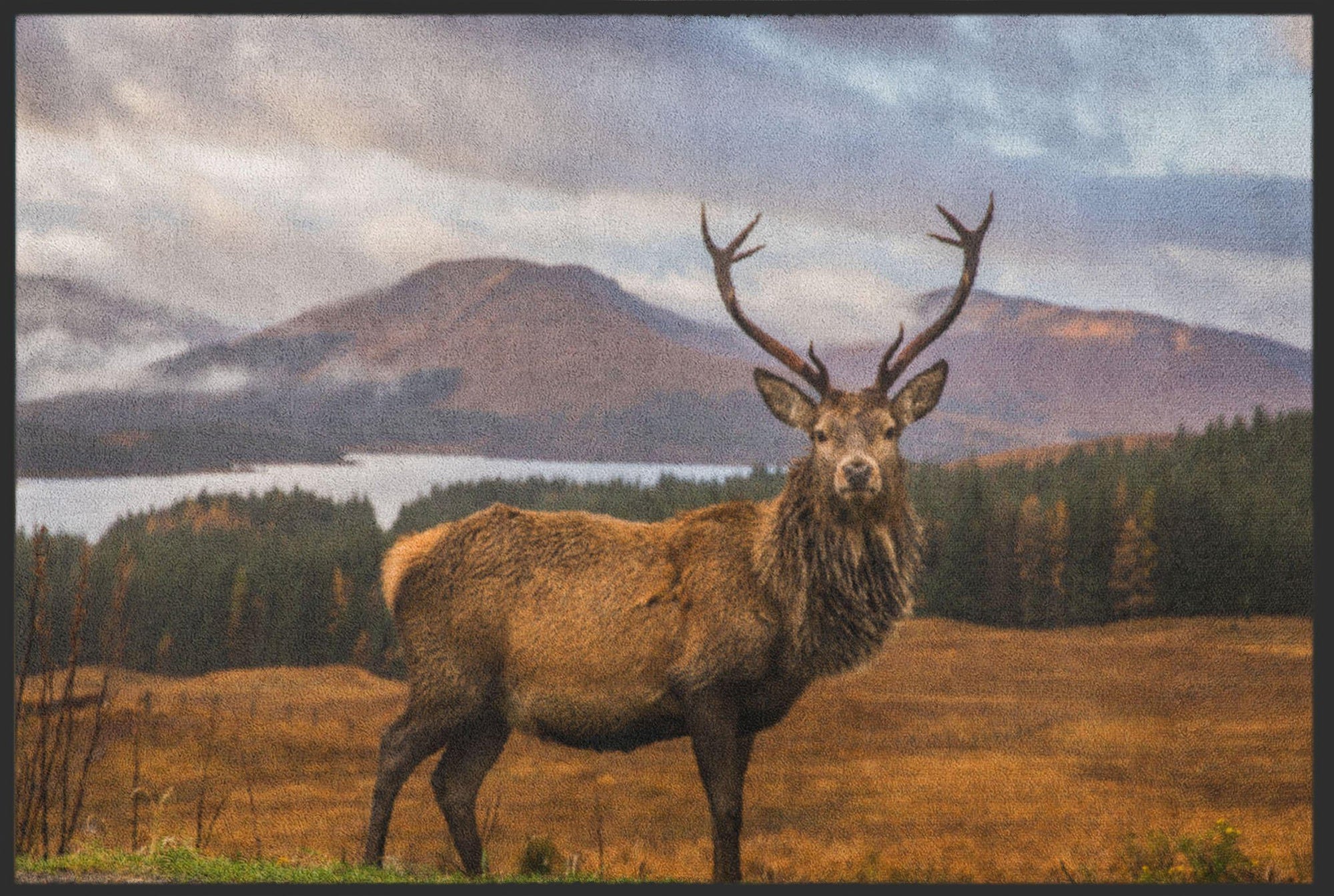 Fussmatte Hirsch 4522