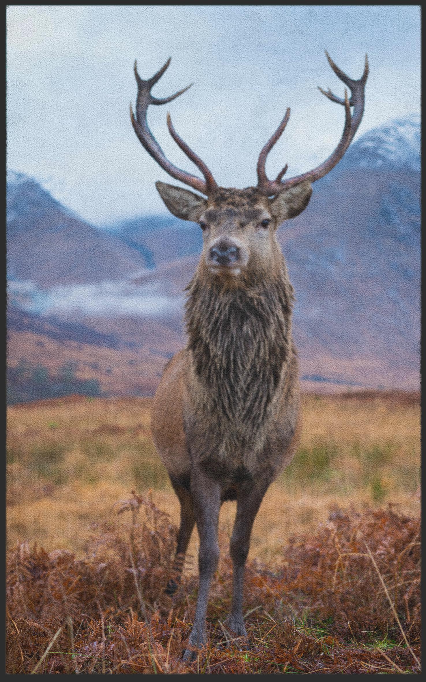 Fussmatte Hirsch 7096