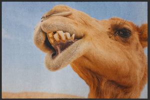 Fussmatte Kamel 6328-Matten-Welt