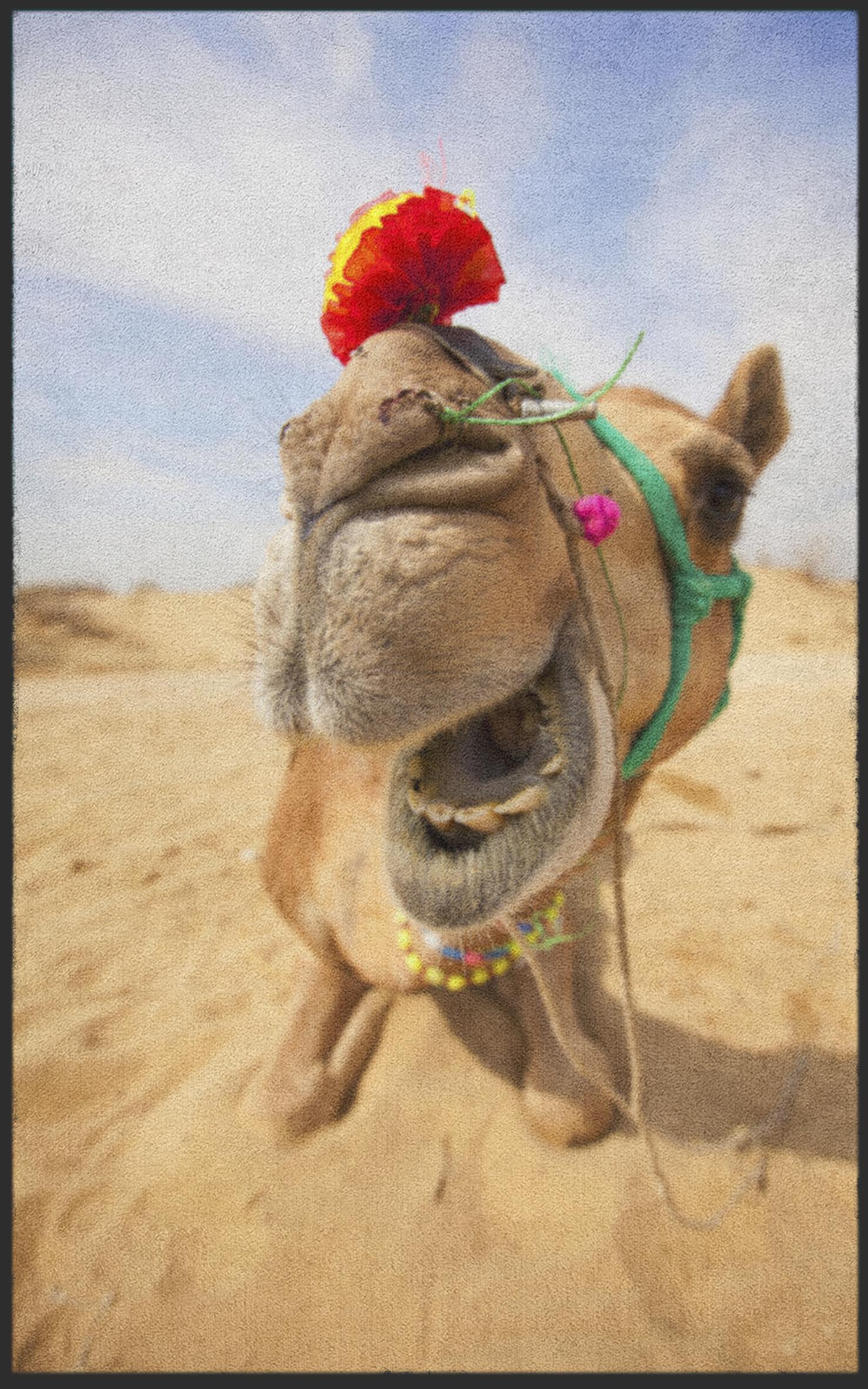 Fussmatte Kamel 7126