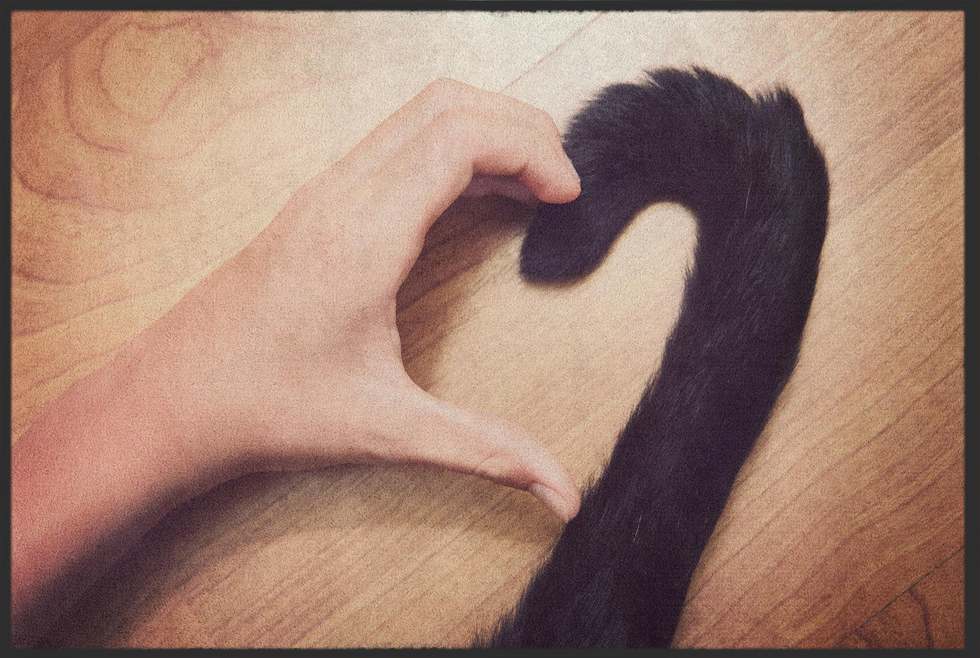 Fussmatte Katze 10153