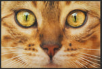 Lade das Bild in den Galerie-Viewer, Fussmatte Katze 6259-Matten-Welt
