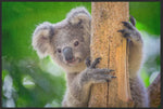 Lade das Bild in den Galerie-Viewer, Fussmatte Koala 4516-Matten-Welt
