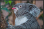 Lade das Bild in den Galerie-Viewer, Fussmatte Koala 4813-Matten-Welt
