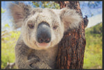 Lade das Bild in den Galerie-Viewer, Fussmatte Koala 5085-Matten-Welt

