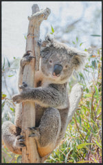 Lade das Bild in den Galerie-Viewer, Fussmatte Koala 7596-Matten-Welt
